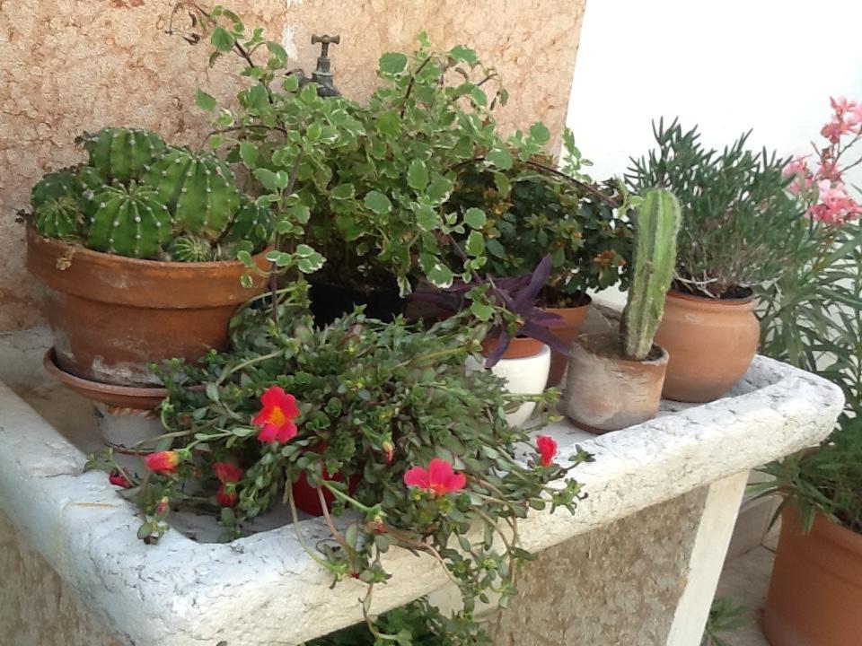 B&B Al Giardinetto Verona Buitenkant foto