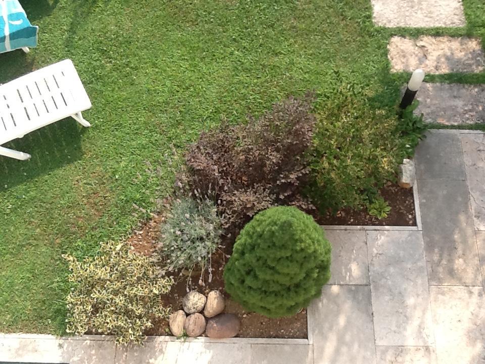 B&B Al Giardinetto Verona Buitenkant foto